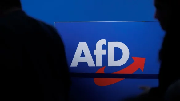 In Sachsen-Anhalt und Mecklenburg-Vorpommern liegt die AfD in den Umfragen vor den Landtagswahlen weit vorn. (Symbolbild) - &copy; Carsten Koall/dpa