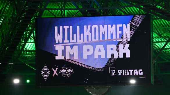 Zwölf Minuten schwiegen die Fans im Borussia-Park. - © Ulrich Hufnagel/dpa