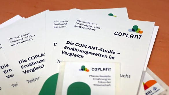 Studie zu pflanzlicher Ern&auml;hrung bezieht nun auch Kinder ein (Kinder sind am Zug (Archivbild) - &copy; Uli Deck/dpa