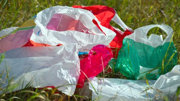 Plastiktüten wie diese sind inzwischen nicht mehr an Deutschlands Supermarkt-Kassen zu bekommen. (Archivbild) - © picture alliance / ZB