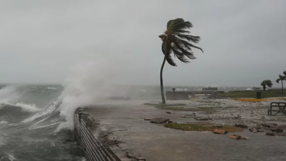 Wie Hurrikans bezeichnet werden, kann aus einer Liste entnommen werden. - &copy; Matias Delacroix/AP/dpa