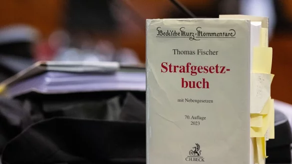 Wenn es nach dem Willen der Staatsanwaltschaft Braunschweig geht, sollen Vergewaltigungsvorwürfe gegen den Maddie-Verdächtigen in Göttingen neu verhandelt werden. (Archivbild) - © Swen Pförtner/dpa