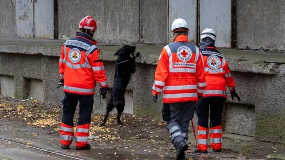 Mehrere Rettungshundestaffeln suchen in Güstrow nach einem Jungen. - © Stefan Sauer/dpa