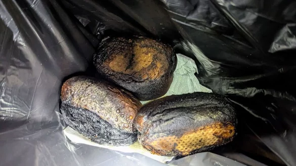 Drei Br&ouml;tchen haben am Niederrhein einen Feuerwehreinsatz ausgel&ouml;st. - &copy; Feuerwehr Bedburg-Hau/dpa