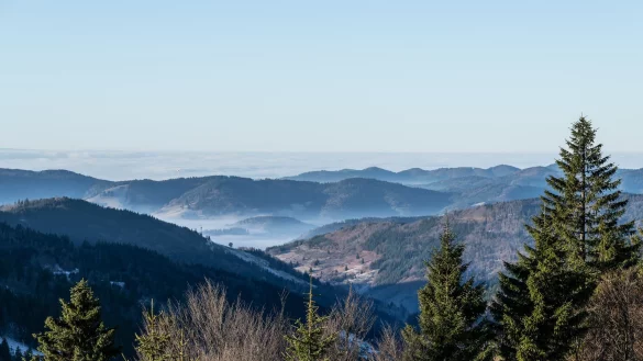 Zum Start in das letzte Wochenende des Jahres kommt etwas mildere Luft nach Deutschland - &copy; Silas Stein/dpa