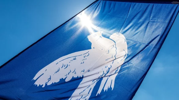 Der Wunsch nach Frieden im Krieg zwischen Russland und der Ukraine kommt von vielen Seiten - doch über den Weg dahin gibt es sehr unterschiedliche Vorstellungen. (Archivbild) - © Frank Hammerschmidt/dpa