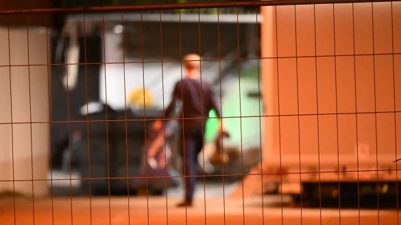 Vogelgrippe breitet sich aus – Risiko für Ausbrüche steigt - © -/onw-images/dpa