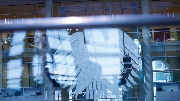 Im zurückliegenden Bundestagswahlkampf tauchten immer wieder Falschnachrichten auf. (Symbolbild) - © Carsten Koall/dpa