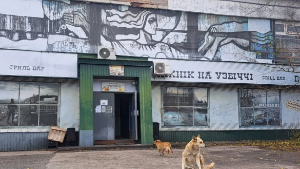 Tagelang berichteten internationale Medien &uuml;ber &laquo;blaue Hunde&raquo; in Tschernobyl. Im radioaktiv belasteten Sperrgebiet bezeichnet man die Berichte als Unsinn. - &copy; Andreas Stein/dpa