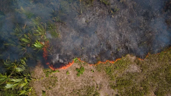 Flammen breiten sich in einem Amazonas-Gebiet aus. (Archivbild) - © Fernando Souza/ZUMA Press Wire/dpa