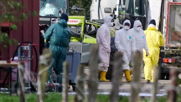 Seit Monaten hat der Niederrhein mit einem Ausbruch von Gefl&uuml;gelpest zu k&auml;mpfen. (Archivbild) - &copy; Bernd Thissen/dpa