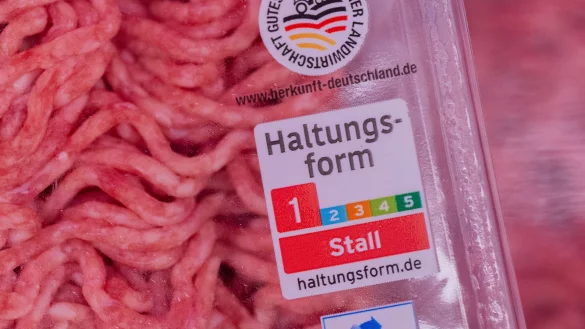 Bei Haltungsform 1 gelten die gesetzlichen Mindestanforderungen. (Archivbild) - © Rolf Vennenbernd/dpa
