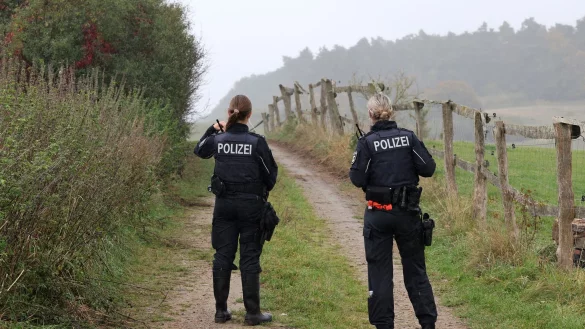 Vier Tage nach dem Verschwinden des achtjährigen Fabian in Güstrow ist in einem Wald eine Kinderleiche gefunden worden. - © Bernd Wüstneck/dpa
