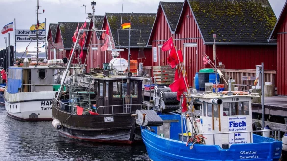 Trotz Sorgen um Dorsch und Hering: F&uuml;r die deutschen Ostsee-Fischer bleibt fast alles beim Alten. (Symbolbild) - &copy; Jens B&uuml;ttner/dpa