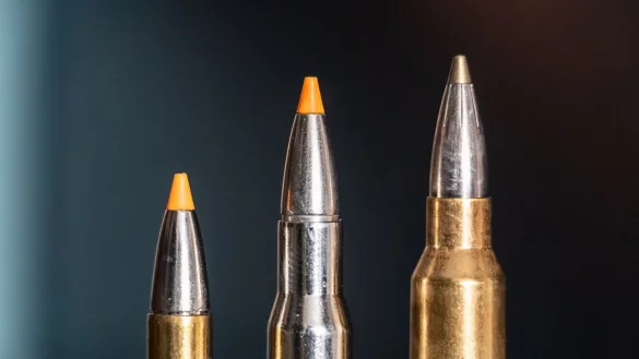Jagdpatronen im Kaliber 308 Winchester (l-r), 30-06 Springfield und 300 Winchester Magnum stehen bei einem J&auml;ger auf einem Waffenschrank. (Symbolbild) - &copy; Silas Stein/dpa