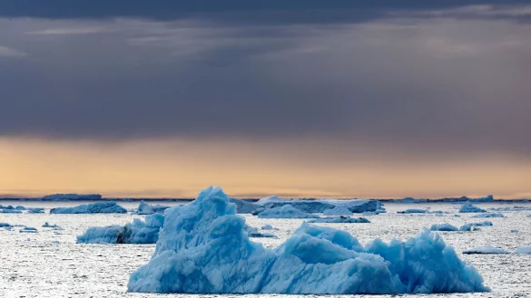 Die Dokumentation von Werner Herzog, in der der Pinguin vorkommt, ist aus dem Jahr 2007. (Archivfoto) - &copy; John Weller/dpa