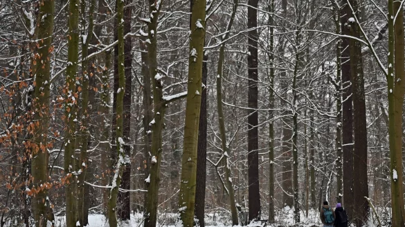 Auch am Donnerstag kann es gebietsweise schneien. - &copy; Shireen Broszies/dpa