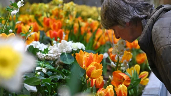 Die Besucherzahl auf der diesj&auml;hrigen Woche &uuml;bertraf die Erwartungen deutlich. (Archivbild) - &copy; Elisa Schu/dpa