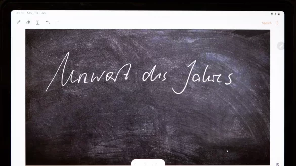 Das &laquo;Unwort des Jahres&raquo; wird seit 1991 von einer sprachkritischen Aktion bestimmt - an diesem Dienstag gibt die Jury bekannt, welchen Begriff sie im vergangenen Jahr besonders kritisch fand. - &copy; Christian Lademann/dpa
