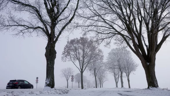 Am Montag gibt es Unwetterwarnungen vor Gl&auml;tte. - &copy; Moritz Frankenberg/dpa