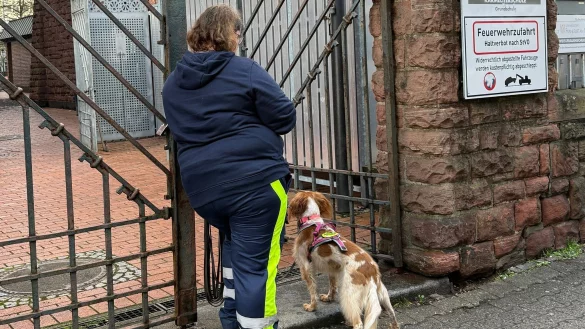 Auch mit Hilfe eines Hundes wurde der Junge gesucht. - &copy; Isabell Scheuplein/dpa