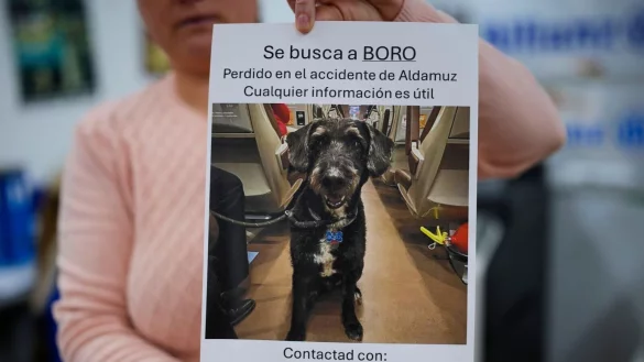 &Uuml;ber diese Familienzusammenf&uuml;hrung freut sich ganz Spanien. - &copy; Manu Fernandez/AP/dpa