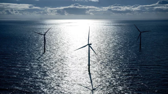 Bevor ein Energieunternehmen einen Windpark bauen kann, muss es sich in einer Ausschreibung gegen Mitbewerber durchsetzen - wenn es welche gibt. (Archivbild) - &copy; Sina Schuldt/dpa