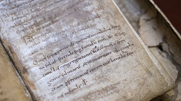 Im Internet werden zahlreiche Zauber angeboten. (Archivbild) - &copy; Hendrik Schmidt/dpa-Zentralbild/ZB