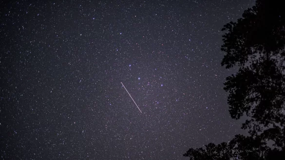 Die Gerda Henkel Stiftung f&ouml;rdert wissenschaftliche Studien zur Zukunft. (Symbolbild) - &copy; Patrick Pleul/dpa-Zentralbild/dpa