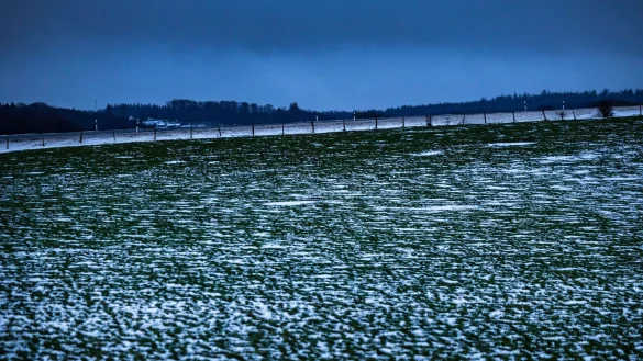 Selbst in der Eifel sind Wiesen nur noch leicht mit Schnee bedeckt. - &copy; Thomas Banneyer/dpa