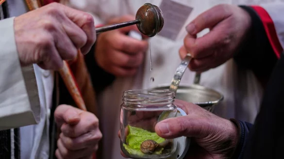 Die Tradition der katholischen Tiersegnung geht auf das Mittelalter zur&uuml;ck. Fr&uuml;her lie&szlig;en die Bauern ihr Vieh segnen, heute sind es vor allem St&auml;dter, die ihre Lieblinge immer an einem 17. Januar, dem Fest von San Ant&oacute;n, dem Schutzeiligen der Tiere, zur Kirche tragen. - &copy; Manu Fernandez/AP/dpa