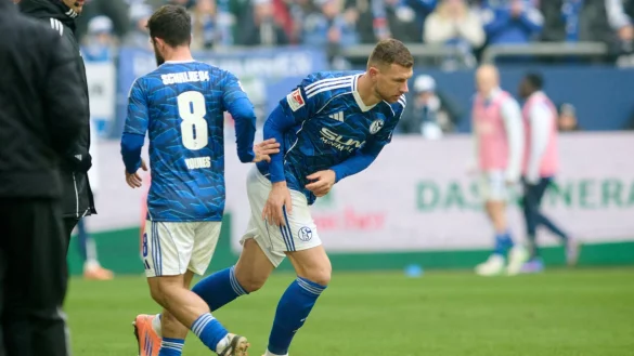 Edin Dzeko hatte entscheidenden Anteil am Schalker Punktgewinn. - &copy; Bernd Thissen/dpa