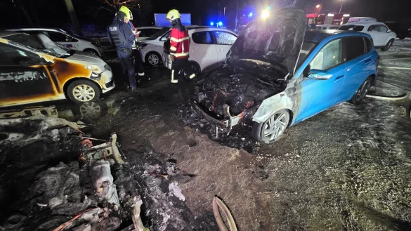 Die Feuerwehr wurde am fr&uuml;hen Morgen alarmiert. - &copy; Guido Schulmann/dpa