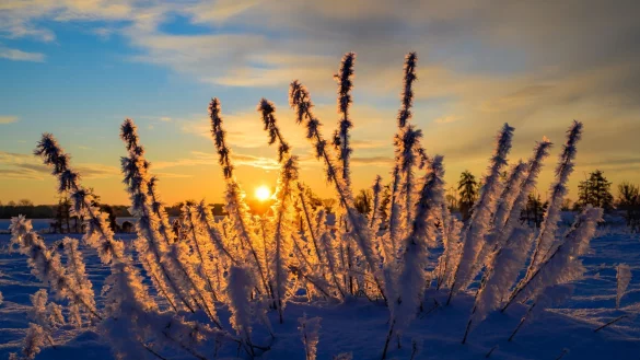 Sonne und kalte Luft erwarten die Meteorologen zum Wochenbeginn. (Archivbild) - &copy; Patrick Pleul/dpa