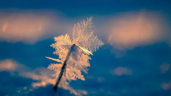 Eisige Temperaturen k&ouml;nnen f&uuml;r Menschen ohne Wohnung lebensgef&auml;hrlich sein. - &copy; Patrick Pleul/dpa
