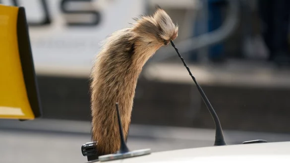 Der Fuchsschanz war f&uuml;r viele Fahrer des Opel Manta unverzichtbar. - &copy; Thomas Frey/dpa