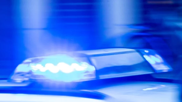 Grund f&uuml;r den Unfall war laut Polizei ein geplatzter Reifen. (Symbolbild) - &copy; Jens B&uuml;ttner/dpa