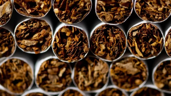 Der Drahtzieher von illegalen Zigarettenfabriken ist wegen Steuerhinterziehung zu vier Jahren Haft verurteilt worden. (Symbolbild) - &copy; Sven Hoppe/dpa