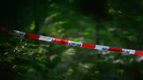 Der t&ouml;dliche Schuss fiel in einem unwegsamen Waldgebiet bei Warburg. (Symbolbild) - &copy; Robert Michael/dpa