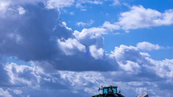 Es lohnt sich oft nicht: Die Produktionskosten f&uuml;r Agrarprodukte liegen teils &uuml;ber den Verkaufspreisen. (Archivbild) - &copy; Jens B&uuml;ttner/dpa