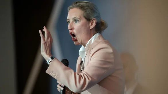 Weidel mobilisiert die Parteibasis f&uuml;r die anstehenden Wahlk&auml;mpfe. - &copy; Fabian Strauch/dpa