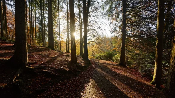 Die Stadt Remscheid hat mehr als 100.000 Einwohner und liegt im Bergischen Land. Sie ist gut gegen Klimagefahren gewappnet. (Archivbild) - &copy; Henning Kaiser/dpa