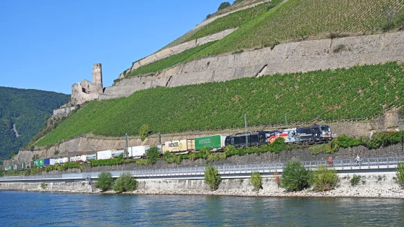 Die rechtsrheinische Bahnstrecke, die von Juli bis Dezember generalsaniert werden soll, f&uuml;hrt an zahlreichen Burgen vorbei. (Archivbild) - &copy; Peter Zschunke/dpa-Zentralbild/dpa