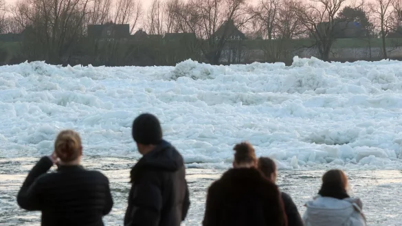 Zahlreiche Menschen nutzten das Wochenendende, um an der Elbe ein seltenes Naturspektakel zu bewundern: Eisberge auf dem Fluss. - &copy; Bodo Marks/dpa