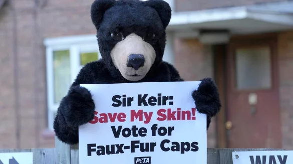 Ein B&auml;r begr&uuml;&szlig;t Labour-Chef Starmer am Wahllokal. - &copy; Vadim Ghirda/AP