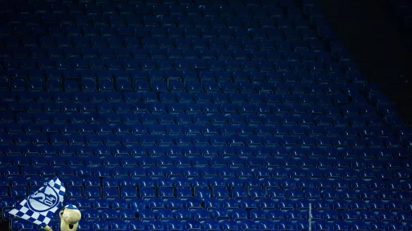 Das hier ist &laquo;Erwin&raquo;, das Schalker Maskottchen. Nat&uuml;rlich tr&auml;gt er blau-wei&szlig;. - &copy; Rolf Vennenbernd/dpa/dpa-tmn