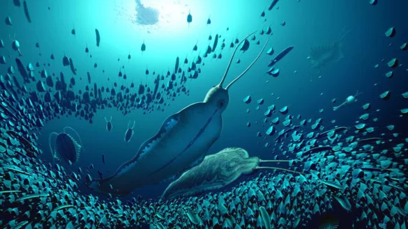 Der lateinische Name des Raubwurms, Timorebestia, bedeutet in etwa &laquo;furchteinfl&ouml;&szlig;ende Bestie&raquo;. - &copy; Bob Nicholls/BobNichollsArt/University of Bristol/dpa