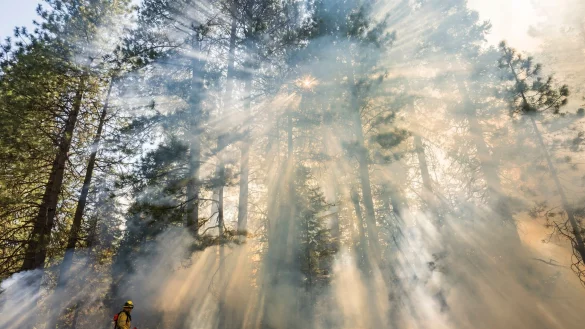 Das Park Fire hat sich zum sechstgr&ouml;&szlig;ten Waldbrand in der Geschichte Kaliforniens ausgewachsen. - &copy; Nic Coury/AP/dpa
