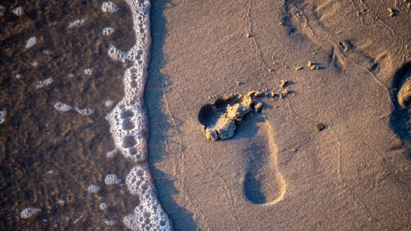 Nachhaltig in den Urlaub? Das ist nicht so kompliziert, wie man denkt und positiv f&uuml;r den eigenen &ouml;kologischen Fu&szlig;abdruck. - &copy; Stefan Sauer/dpa-zentralbild/dpa-tmn