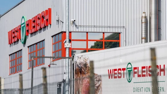 Ein LKW (r) des Fleischverarbeiters Westfleisch f&auml;hrt auf das Firmengel&auml;nde in Coesfeld. - &copy; Guido Kirchner/dpa